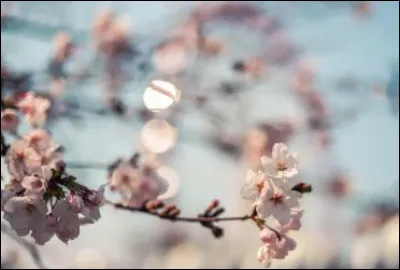 Comment s'appelle l'héroïne ?