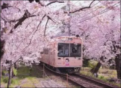 Où Julie vit-elle ?