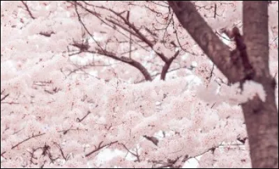 Est-ce que quelqu'un d'autre que Julie entend Sam au téléphone, après sa mort ?