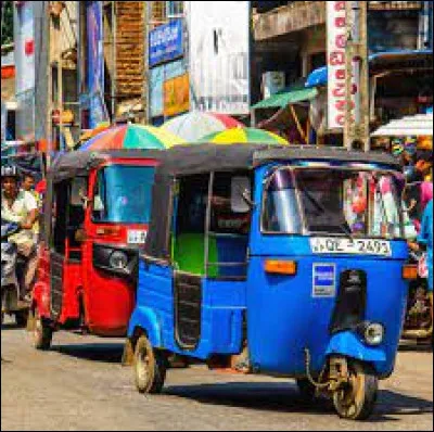 Quelle est la langue majoritairement parlée au Sri Lanka ?