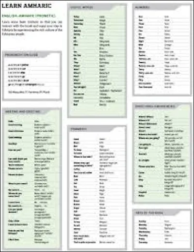 Dans quel pays parle-t-on l'amharique ?