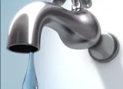 Quiz L'environnement