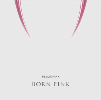 N°3 : Pink Venom
Quel est le vrai prénom de Lisa ?