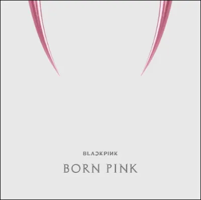 N°5 : Shut Down
Quelle est la maison de disques qui a formé Blackpink ?