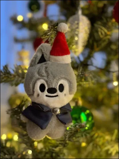 &Agrave; qui appartient ce SKZOO ?