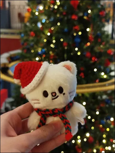 L'animal qui repr&eacute;sente le SKZOO de Hyunjin est :