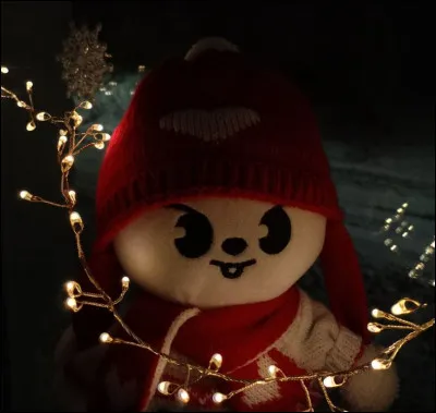 Le SKZOO de Lee Know s'appelle :