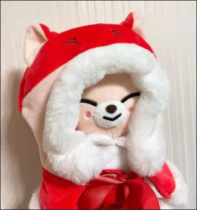 Ce SKZOO appartient &agrave; qui ?