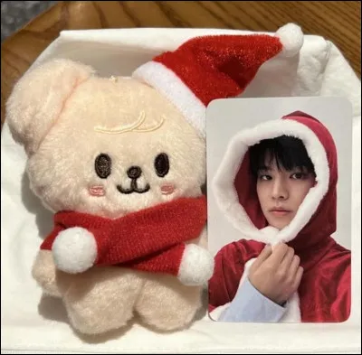 Quel est l'animal qui repr&eacute;sente le SKZOO de Seungmin ?