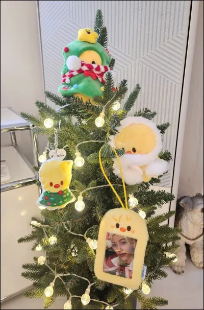 C'est un sapin rempli avec des SKZOO de :