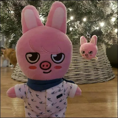 Et pour finir, comment s'appelle le SKZOO de Changbin !