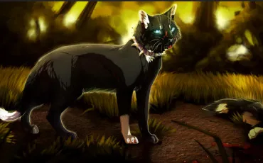 Quiz Littrature, posie