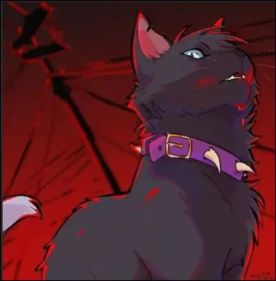 Et enfin, est-il complexé ? Si oui, par quoi ?