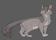 Quiz Connais-tu bien Aile de Colombe ? LGDC