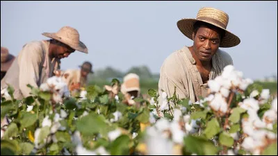 "12 Years a Slave" sorti en 2013 est un drame historique basé sur l'histoire vraie d'un homme esclave pendant 12 ans aux États-Unis. Qui est le réalisateur de cette chronique historique ?