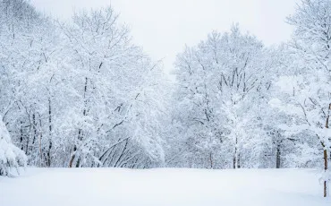 Quiz Test de personnalit