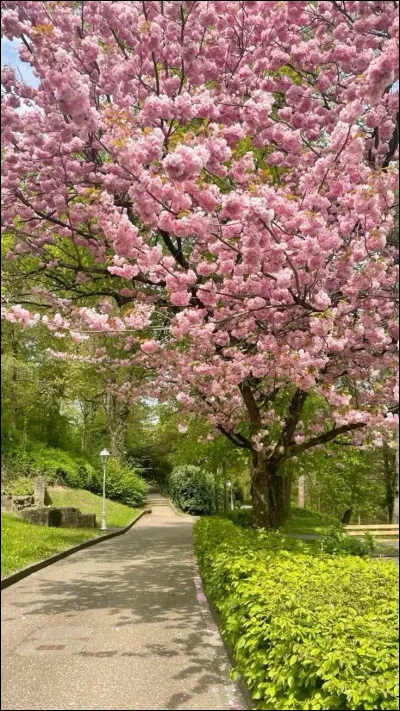 Quelle sortie te ressemble le plus ?