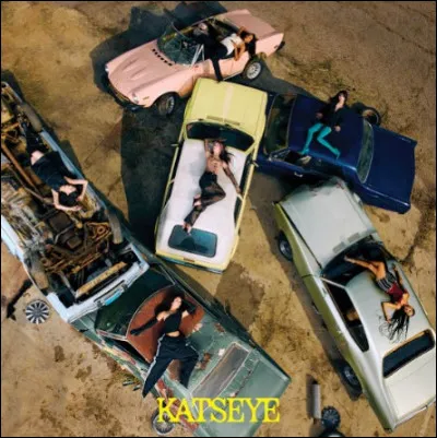 N°6 : M.I.A
Quel est le nom de leurs fans ?