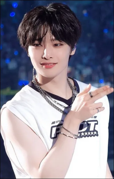 Quel est le rôle d'I.N ?