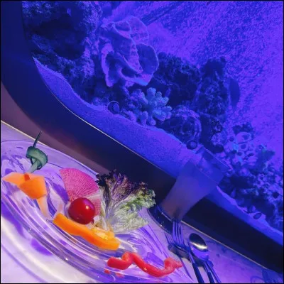 Dans lépisode 5, « Sauter dans le grand bain », Thomas est en compagnie d'Ysaline au restaurant Nautilus. Quel plat Thomas commande-t-il ?