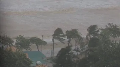 Comment appelle-t-on les tempêtes très puissantes du nord-ouest de l'océan Pacifique en Asie du Sud-Est ?