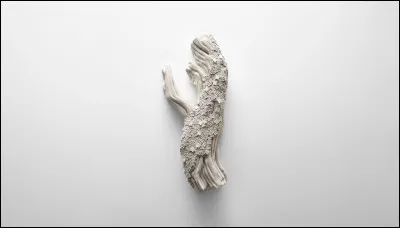 ''Salut, vieille branche !'' > Bûche sculptée au croustillant de chocolat noir Tulakalum (du Bélize !), gianduja et fleur de sel... Où la sert-on et qu'est-ce donc que ce ''gianduja'' ?