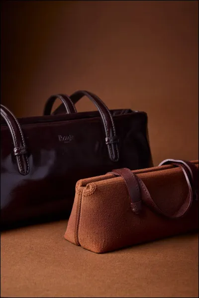 « L'affaire est dans le sac ! » > Je vous affirme qu'il y a au moins une bûche ici. Candide, vous ?