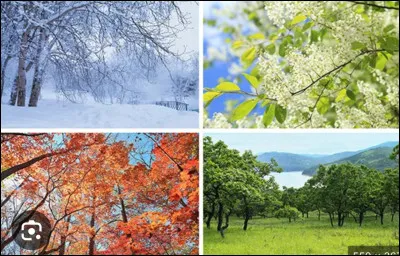 Pour finir, quelle est ta saison préférée ?