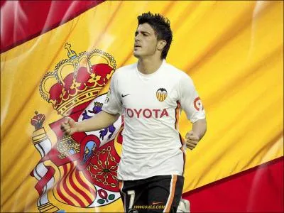 Champion d'Europe en 2008 et du Monde en 2010, c'est David ... .