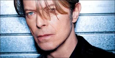 Acteur dans 'Furyo' mais aussi chanteur 'Let's dance', c'est David ... .