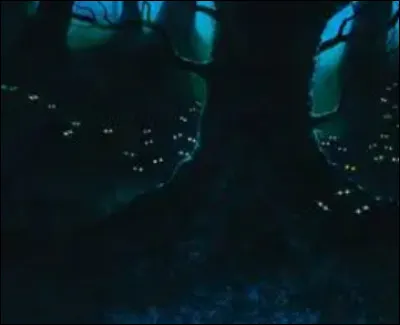 Pour commencer, quel est ton cycle favori ? (1)