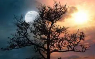 Quiz Test de personnalit