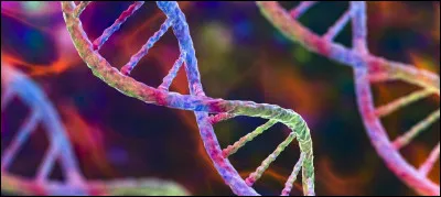 S - Sciences !
Quel gaz les plantes produisent-elles lors de la photosynthèse ?