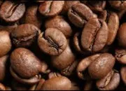 Quiz Un quiz fort de caf