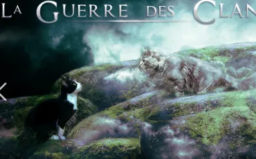 Quiz Littrature, posie