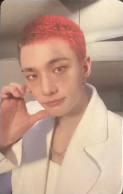 Tu le préfères avec les cheveux...