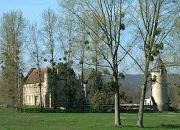 Quiz Mots croiss (289)