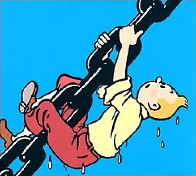 Montre de larges courbures.