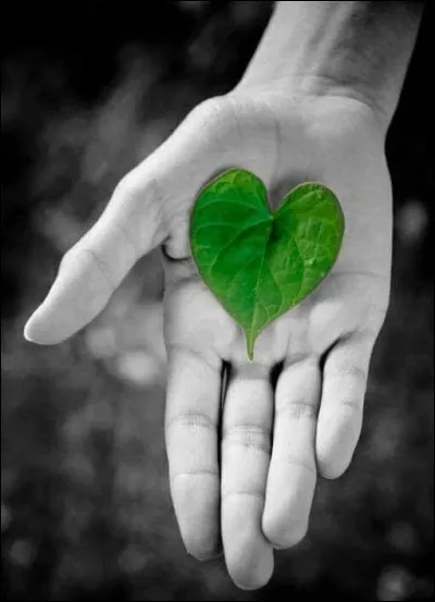 Divination : laquelle est la divination pratiqu&eacute;e par les lignes de la main ?