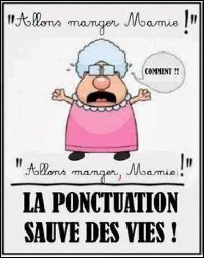 Ponctuation : rions encore !La virgule peut-elle changer le sens de la phrase ?
