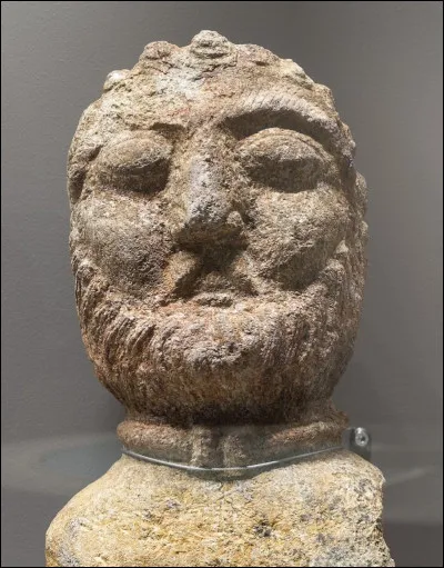 Les Gaulois ne sont pas les ancêtres des Français.