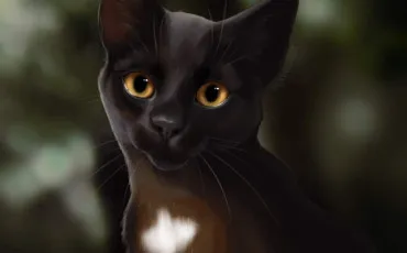 Quiz Test de personnalit