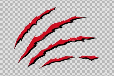 As-tu fait croire quelque chose pour cacher un secret ?