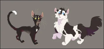 Partages-tu ta maison avec quelquun que tu ne connaissais pas avant ?