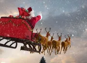 Quiz Plusieurs choses de Nol