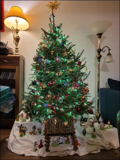 Par quel endroit principal passe-t-il pour mettre les cadeaux au pied du sapin ?