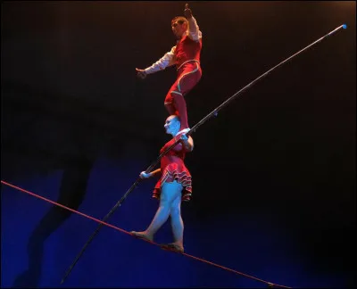 Quel est le nom d'un artiste de cirque marchant et réalisant des figures sur une corde tendue au-dessus du vide ?