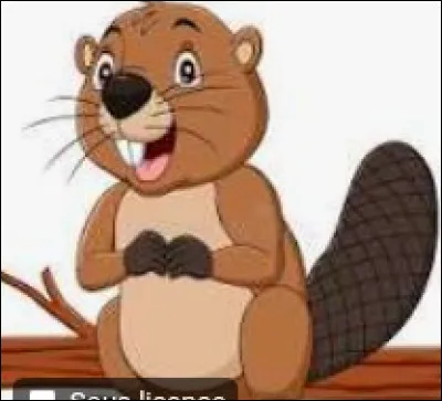 Quelle image est celle d'un castor ?