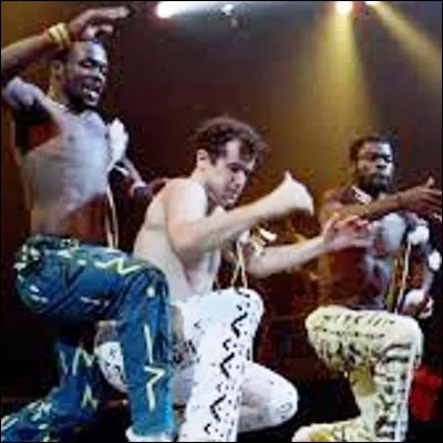 Quel peuple africain a été unifié en 1816 par Chaka qui a fondé un puissant royaume ?