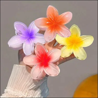 Voudrais-tu une pince ?